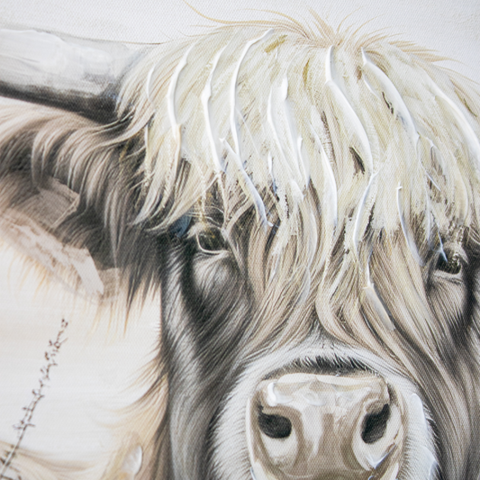 Cuadro con Óleo Scottish Cow